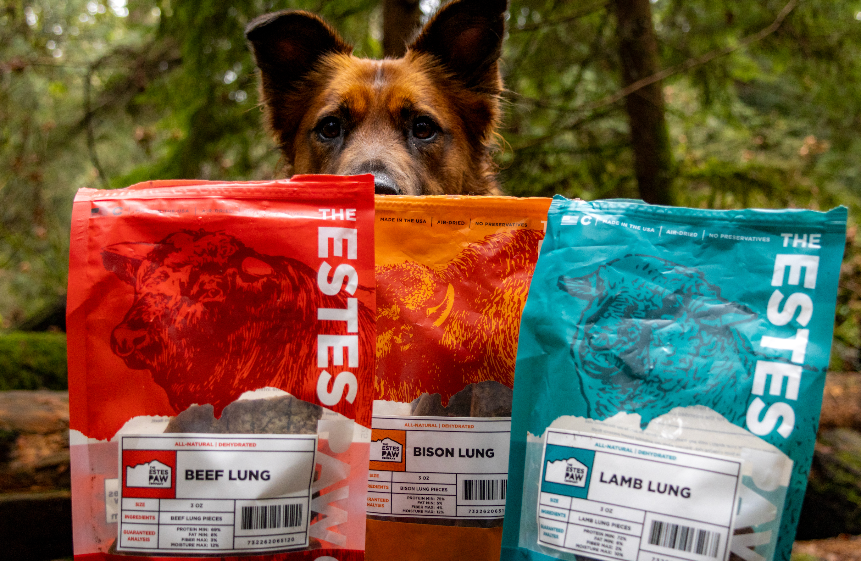 benefits of beef for dogs