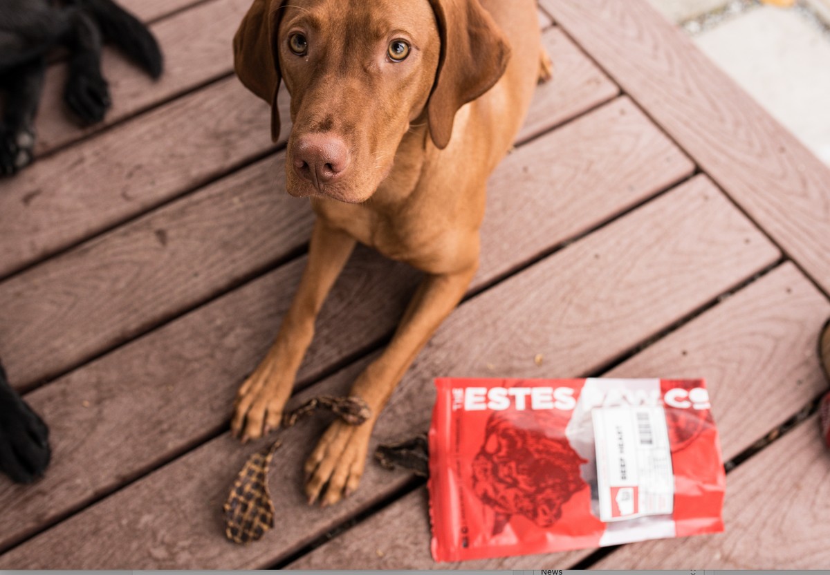 How Many Calories Should Dogs Have? The Estes Paw Company