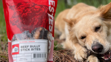 What is Beef Pizzle? Everything you need to know about Bully Sticks.