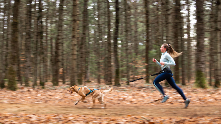 Canicross 101: Getting Started with Your Dog