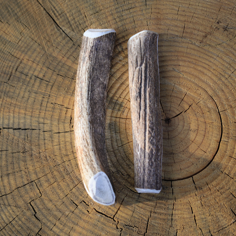 Load image into Gallery viewer, ELK ANTLER SPLIT | MEDIUM | CASE