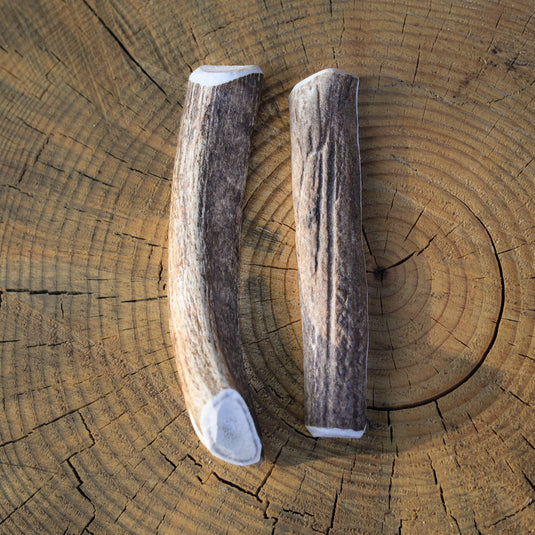 GRADE A | ELK ANTLER SPLIT | MEDIUM