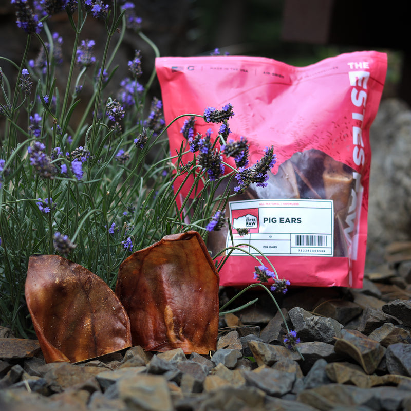 Load image into Gallery viewer, PIG EARS | CASE