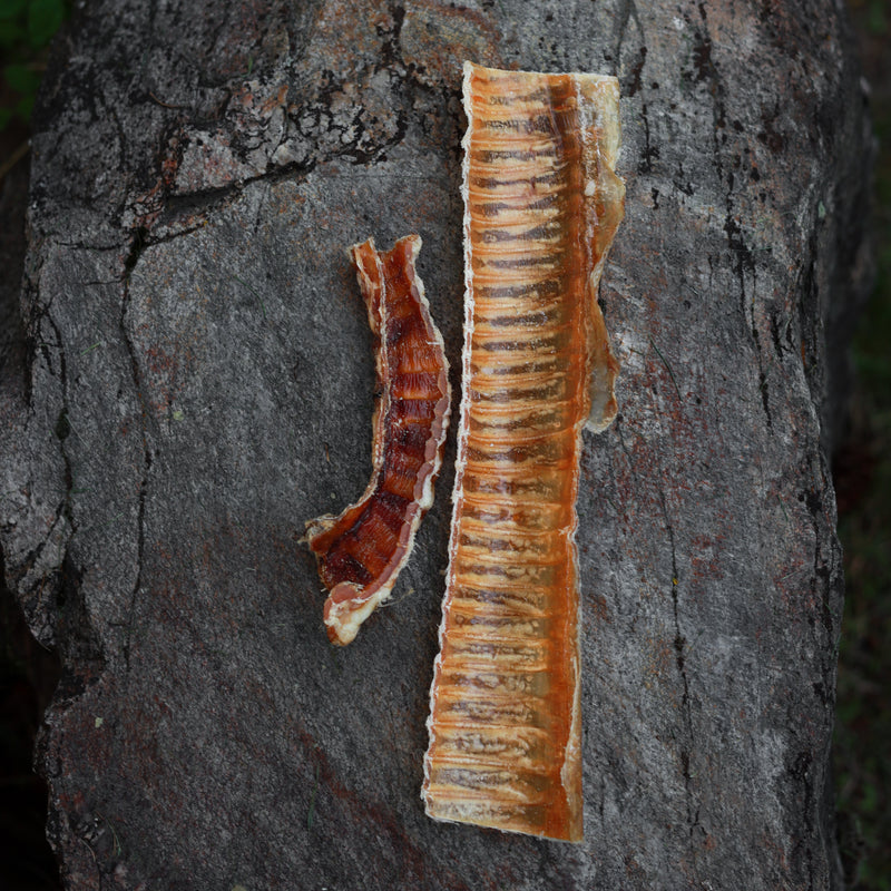 Load image into Gallery viewer, π BEEF TRACHEA STRIPS (100% off)