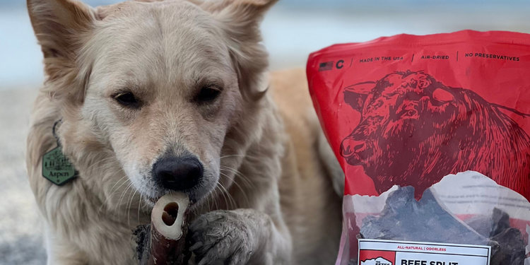 Beef Marrow Bone For Dogs