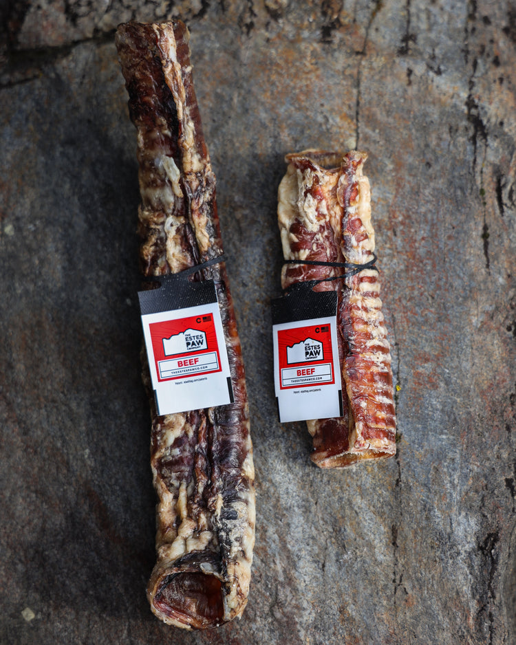 Is Beef Trachea Better Than Rawhide?