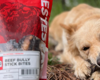 What is Beef Pizzle? Everything you need to know about Bully Sticks.