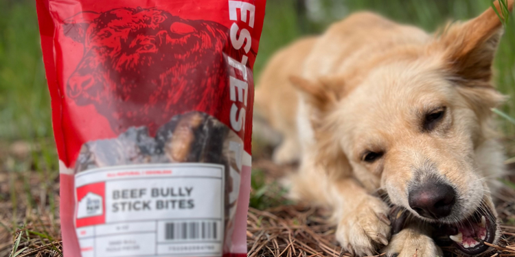 What is Beef Pizzle? Everything you need to know about Bully Sticks.