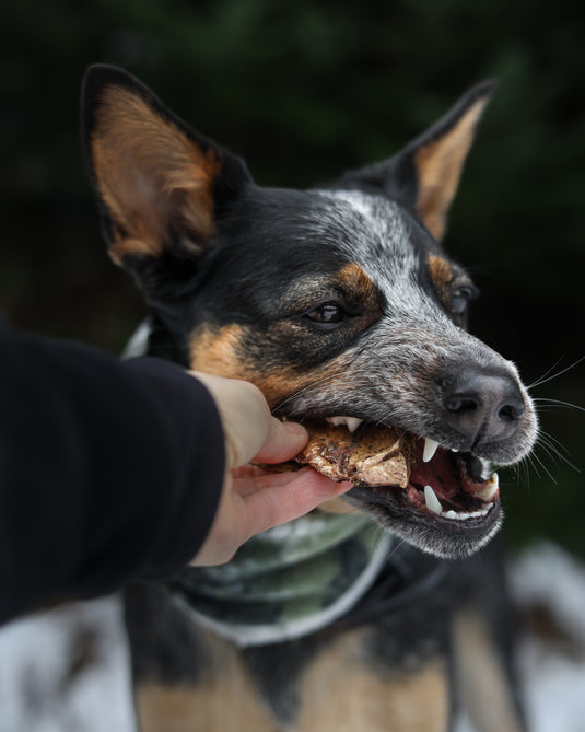 Single Ingredient Chews For Every type of chewer!