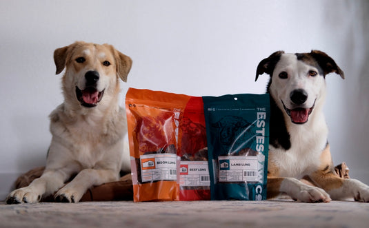 Premium Dog Chews, Bones, & Treats