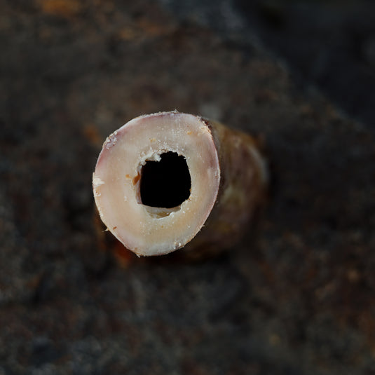 BEEF MARROW BONE | CASE | 2-3