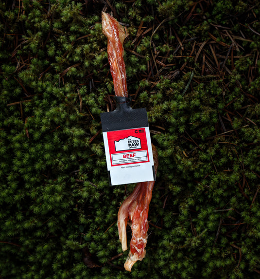🎁 BEEF FLEXOR TENDON (100% off)