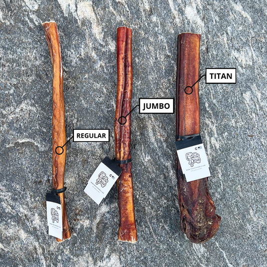 BEEF BULLY STICKS | REGULAR | CASE