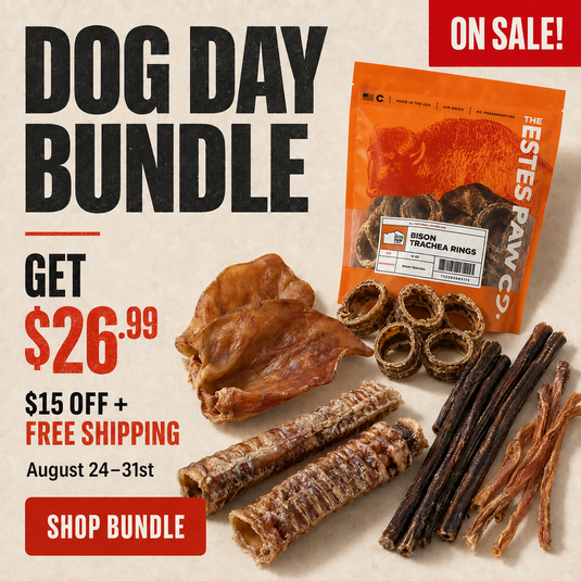 National Dog Day Bundle