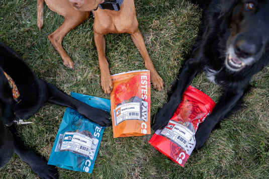 Premium Dog Chews, Treats & Bones