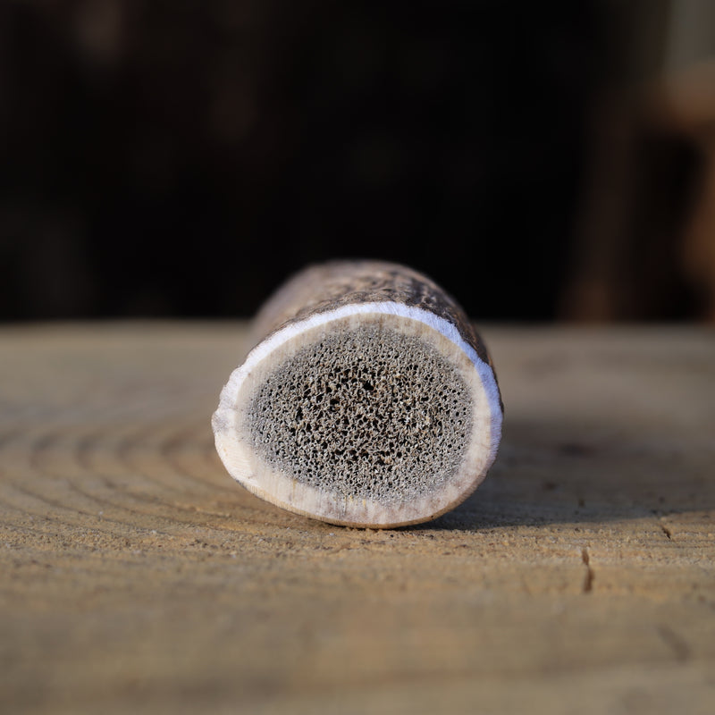 Load image into Gallery viewer, ELK ANTLER SPLIT | SMALL | CASE | 8 INDIVIDUAL
