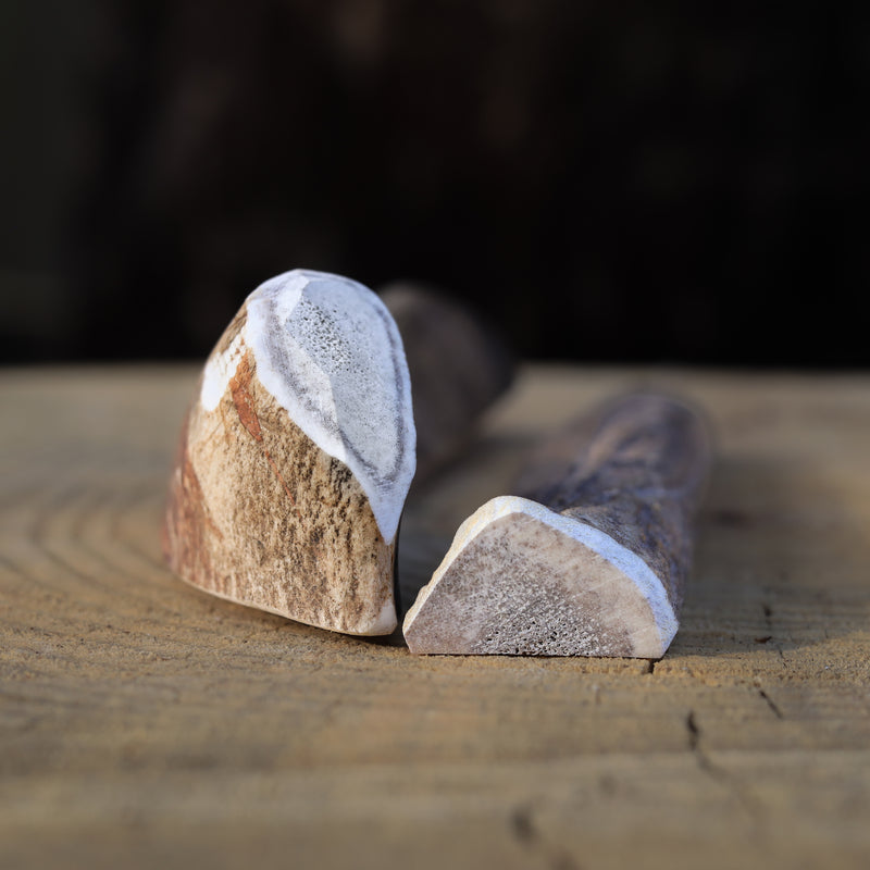 Load image into Gallery viewer, ELK ANTLER SPLIT | MEDIUM | CASE | 8 INDIVIDUAL
