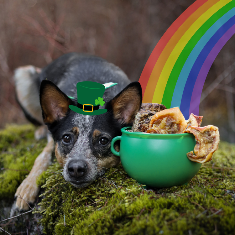 St Patricks Day Sale - Save 25%