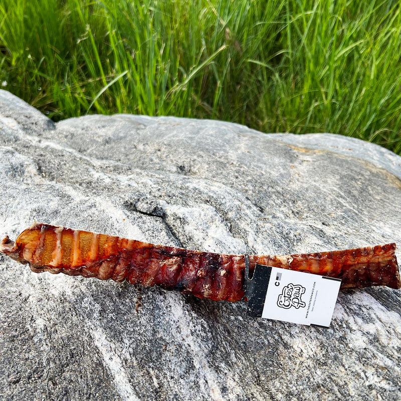 Load image into Gallery viewer, 🎁 BISON TRACHEA SPLITS (100% off)

