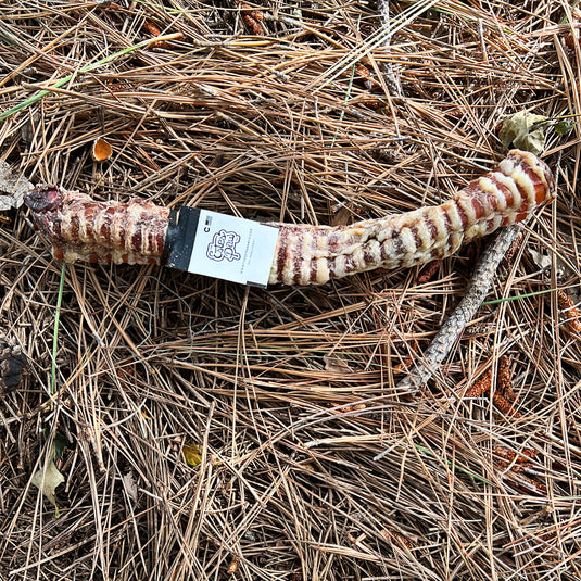 BEEF TRACHEA WHOLE