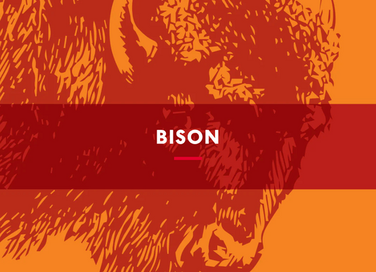 Bison