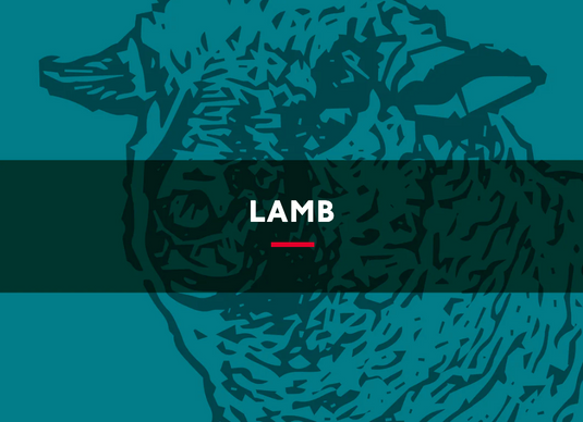 Lamb