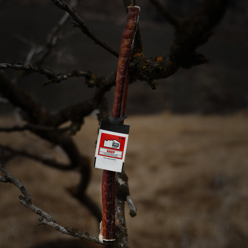 Load image into Gallery viewer, BEEF BULLY STICKS | REGULAR | CASE
