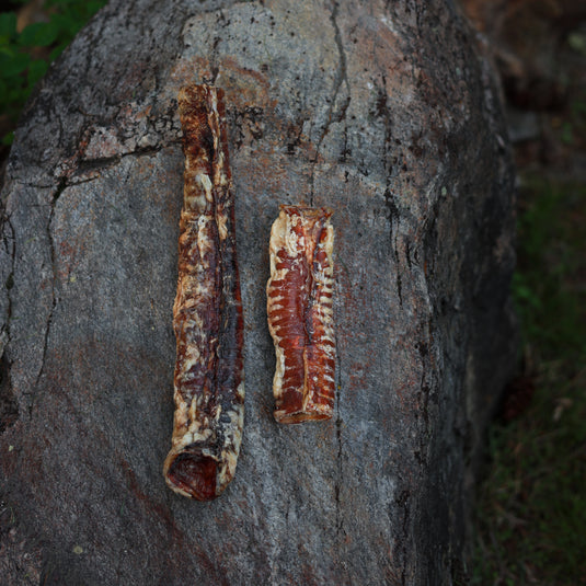 BEEF TRACHEA WHOLE