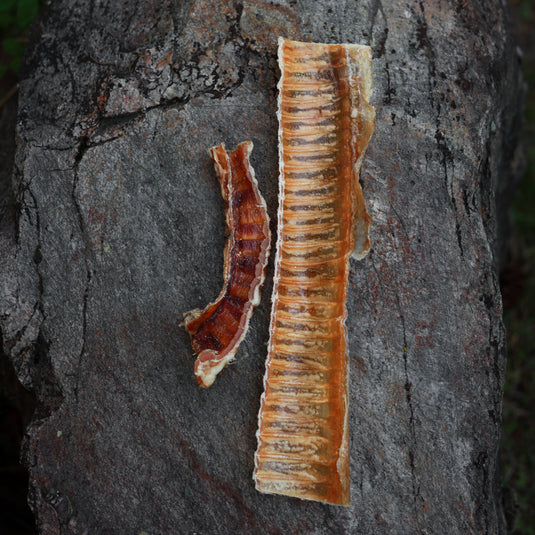 BEEF TRACHEA STRIPS