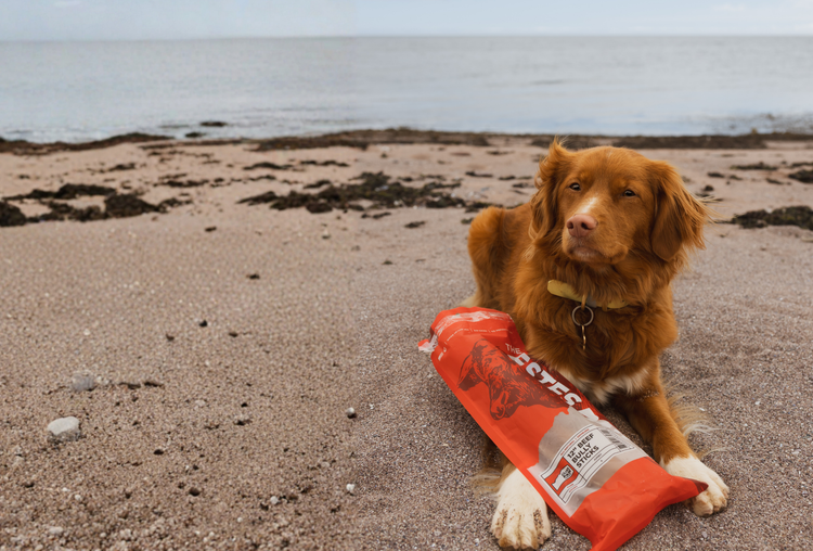 Premium Dog Chews, Bones, & Treats